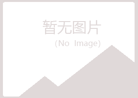 雷波县字迹工程有限公司